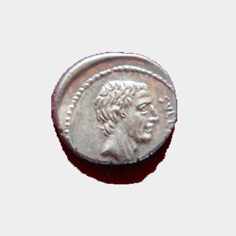 L.C. Sulla